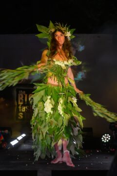 Photos by Michael Troutman (250/365)